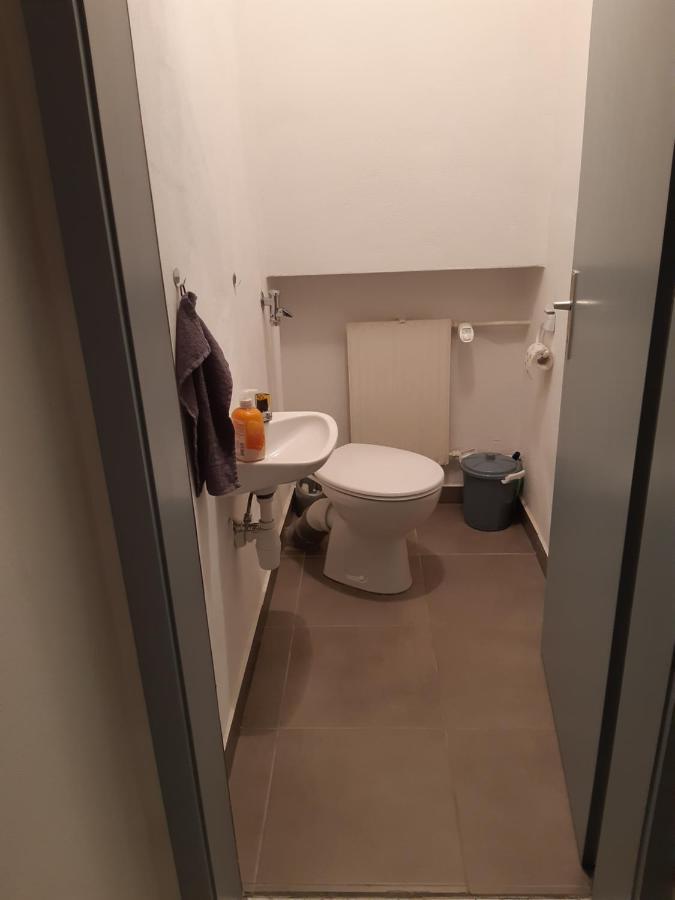Ferienwohnung Leibl Oberviechtach Εξωτερικό φωτογραφία